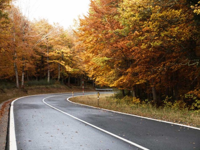 Auto rutas 1/2 jornada
