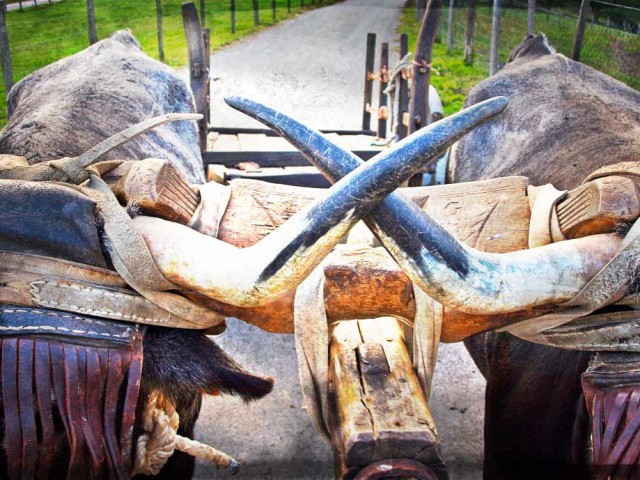 Etno y cabaña