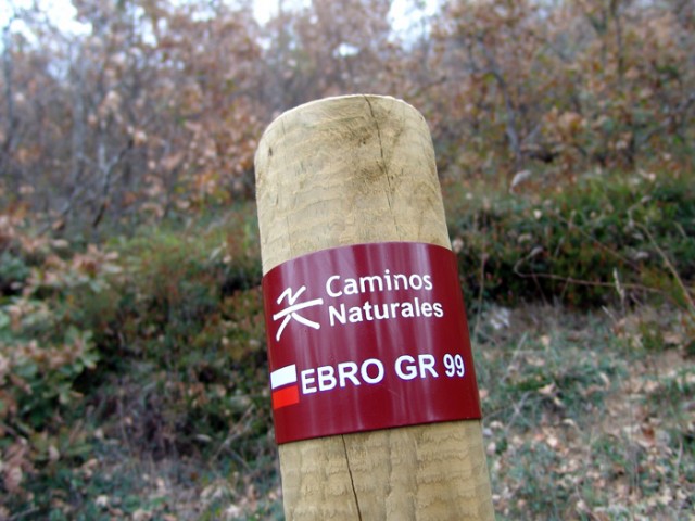 Todo sobre el GR 99