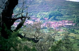 BUSTILLO DEL MONTE