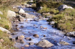 Río Izarilla