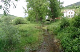 BARRIOPALACIO