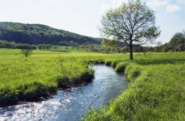 Río Carrales