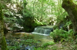 Riopanero o Río Hijedo