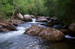 Río Besaya