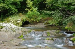 Río Irbienza o Hirvienza.