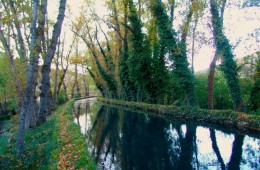 Río Polla