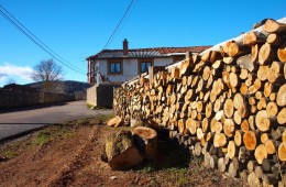 LA MIÑA