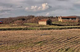 VILLAMOÑICO