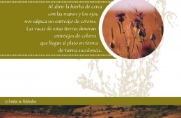 Ascensión al Endino SL-S 30. Olea.