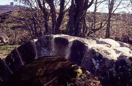 Puente del Argañal