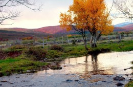 Río Camesa