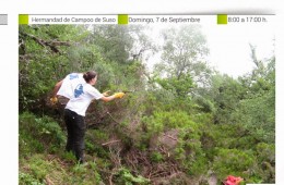 RECOLECCIÓN DE SEMILLAS DE ESPECIES VEGETALES DE ALTA MONTAÑA EN ALTO CAMPOO. 7 de Septiembre.