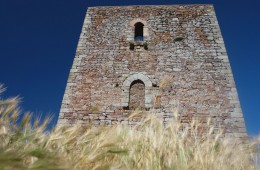 Torre de San Martin de Hoyos