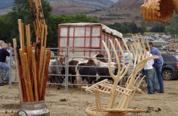Espinilla. Feria de Ganado. 15 de Agosto.
