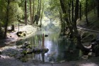 Senda desde el Nacimiento del Río Ebro PR-S 80. Fontibre.