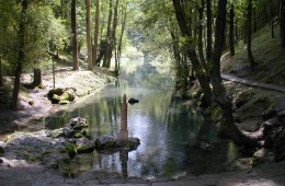 Senda desde el Nacimiento del Río Ebro PR-S 80. Fontibre.