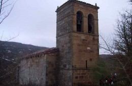 QUINTANAS OLMO