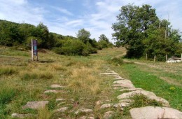 LA QUINTANA