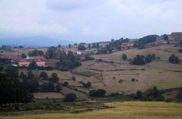 LAGUILLOS