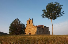 Monegro. Fiesta de Nstra. Sª de Las Nieves. 5 de Agosto.