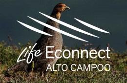 Life Econnet Alto Campoo