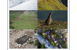 SEMINARIO SOBRE RESTAURACIÓN DE HÁBITATS DE ALTA MONTAÑA. 26 y 27 de Septiembre en Alto Campoo.