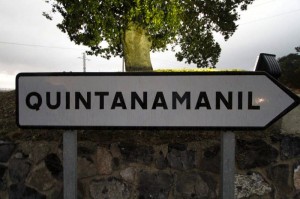 Quintanamanil