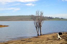 QUINTANAMANIL
