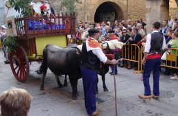 Reinosa. Dia de Campoo. Ultimo domingo de Septiembre.